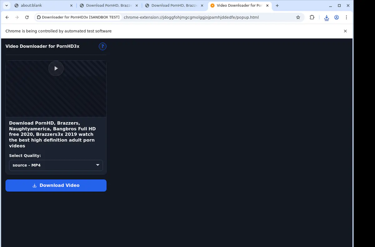 Pornhd 3 X Video Downloader browser extension screenshot 2