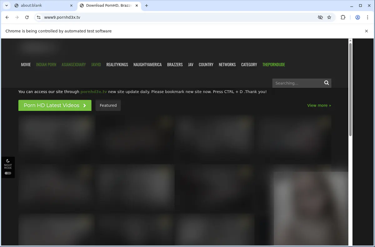 Pornhd 3 X Video Downloader browser extension screenshot 5